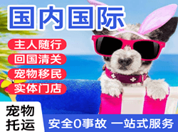 通辽航空货运国际宠物托运 【国